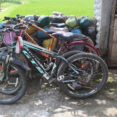 Hippies Colony - Travellers Home ソーラハ エクステリア 写真